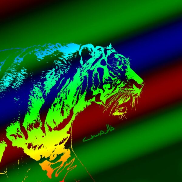 When Colours Hunt the Tiger