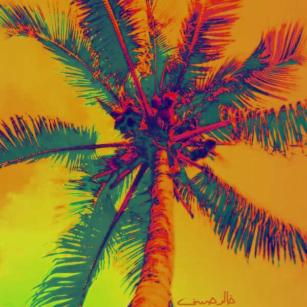 Palm and Dates