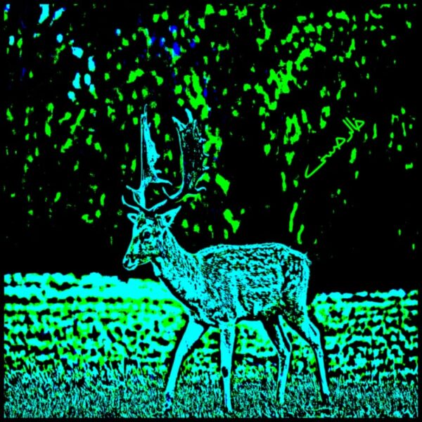 Art and the Deer