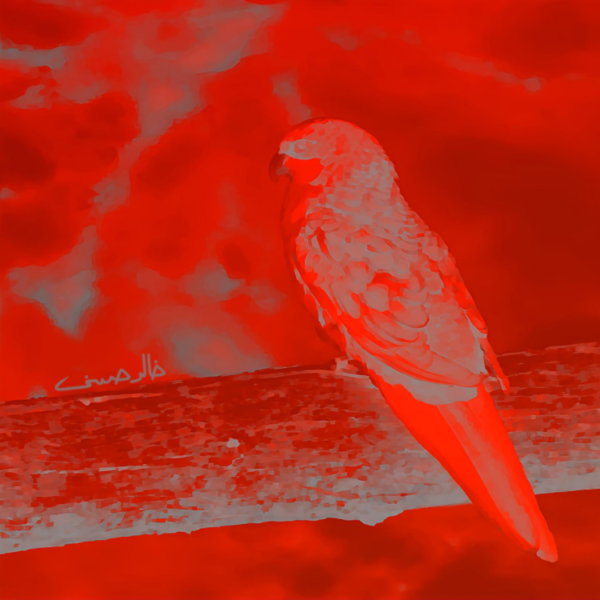 Grey and Red