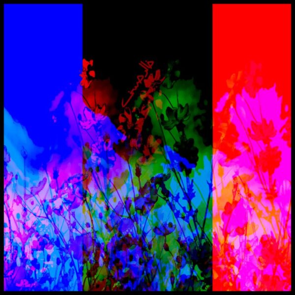 The Charm of Flowers