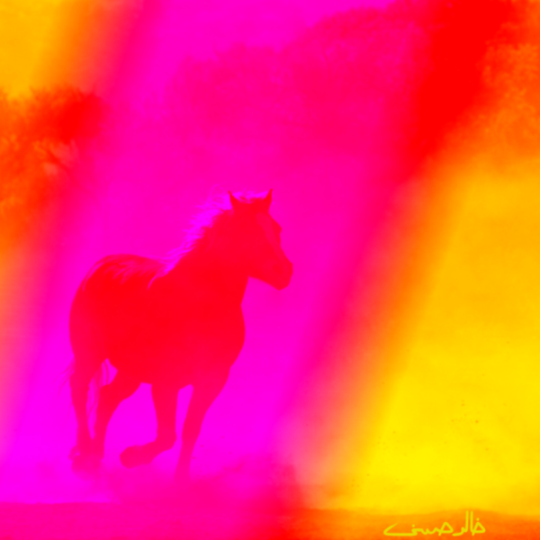 The Run of the Horse