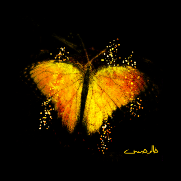 Glittering Butterfly