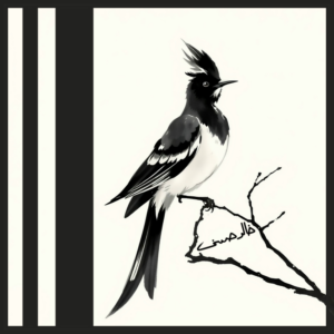 Black White Bird