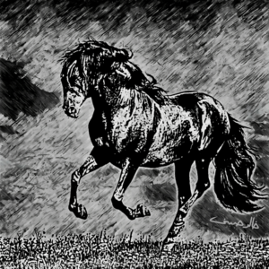 Black Horse