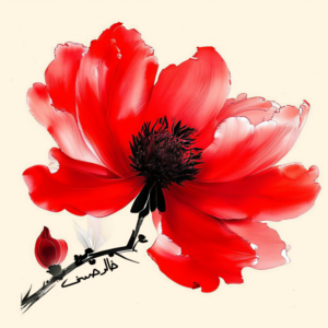 The Petals of RomancE