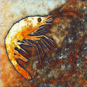 The Shrimp by Art