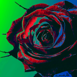 A Flower that was Somewhere