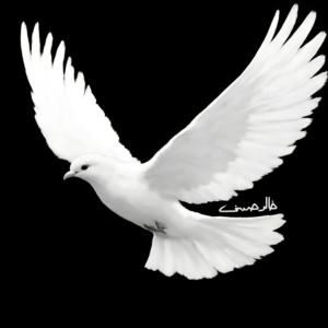 White Wing